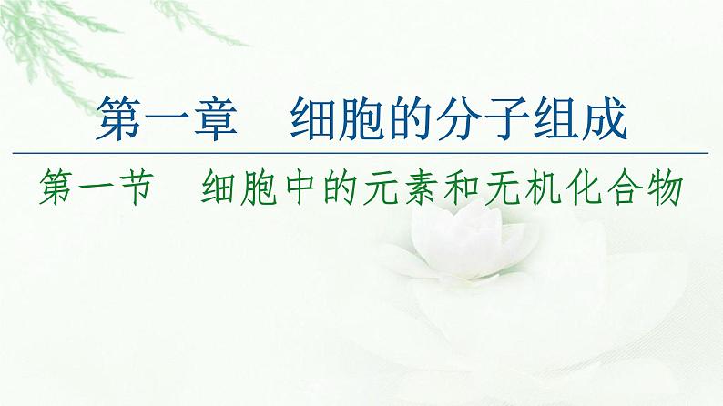 苏教版高中生物必修1第1章第1节细胞中的元素和无机化合物课件01