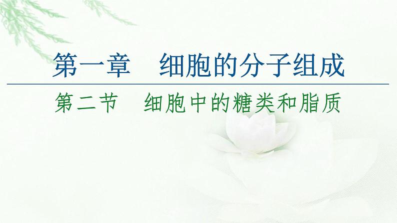 苏教版高中生物必修1第1章第2节细胞中的糖类和脂质课件01