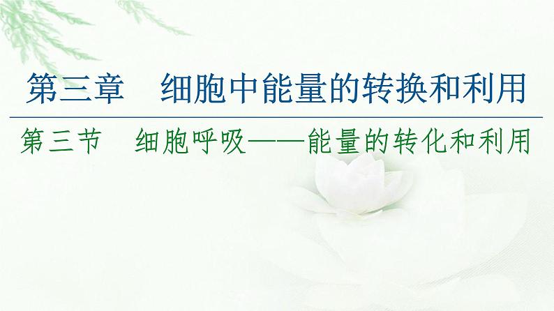 苏教版高中生物必修1第3章第3节细胞呼吸——能量的转化和利用课件01