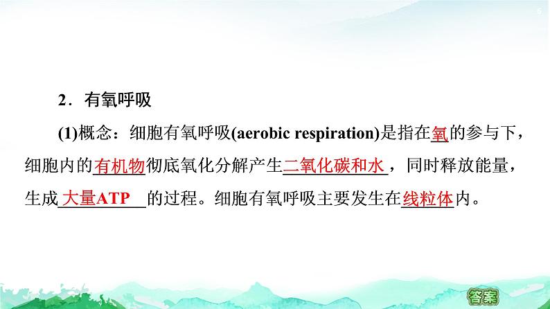 苏教版高中生物必修1第3章第3节细胞呼吸——能量的转化和利用课件06