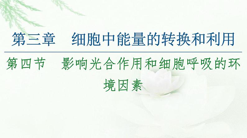 苏教版高中生物必修1第3章第4节影响光合作用和细胞呼吸的环境因素课件01