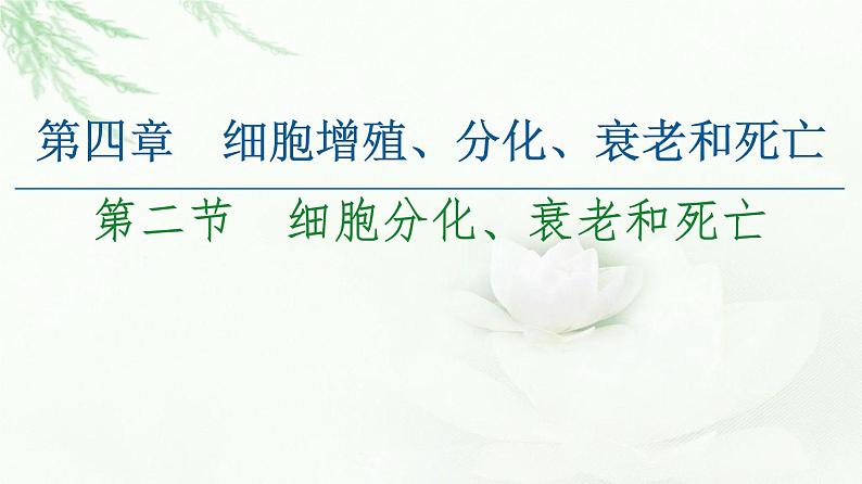 苏教版高中生物必修1第4章第2节细胞分化、衰老和死亡课件01