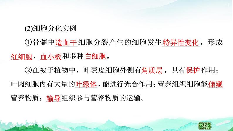 苏教版高中生物必修1第4章第2节细胞分化、衰老和死亡课件05