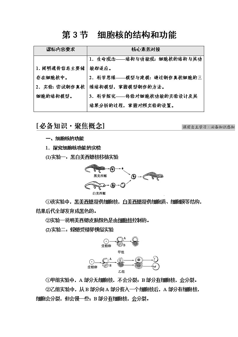 人教版高中生物必修1第3章第3节细胞核的结构和功能学案01