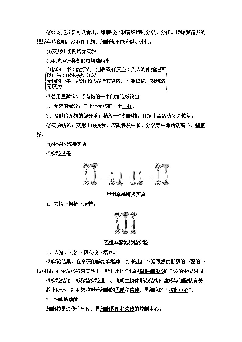 人教版高中生物必修1第3章第3节细胞核的结构和功能学案02