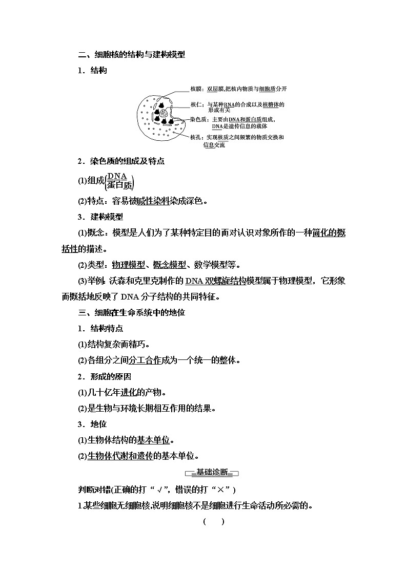 人教版高中生物必修1第3章第3节细胞核的结构和功能学案03