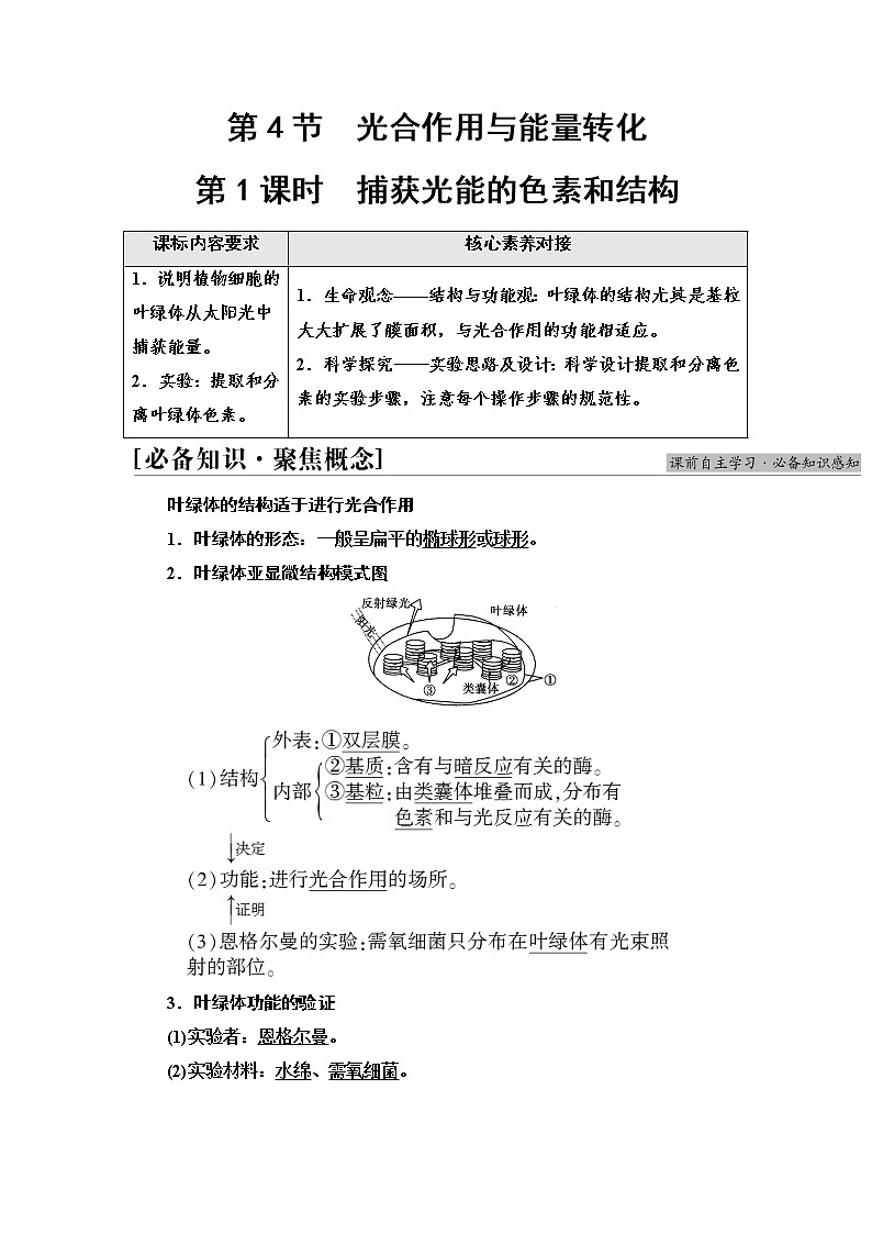 人教版高中生物必修1第5章第4节第1课时捕获光能的色素和结构学案第1页