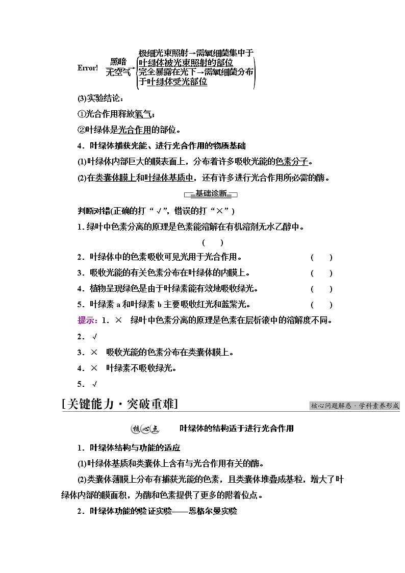 人教版高中生物必修1第5章第4节第1课时捕获光能的色素和结构学案第2页
