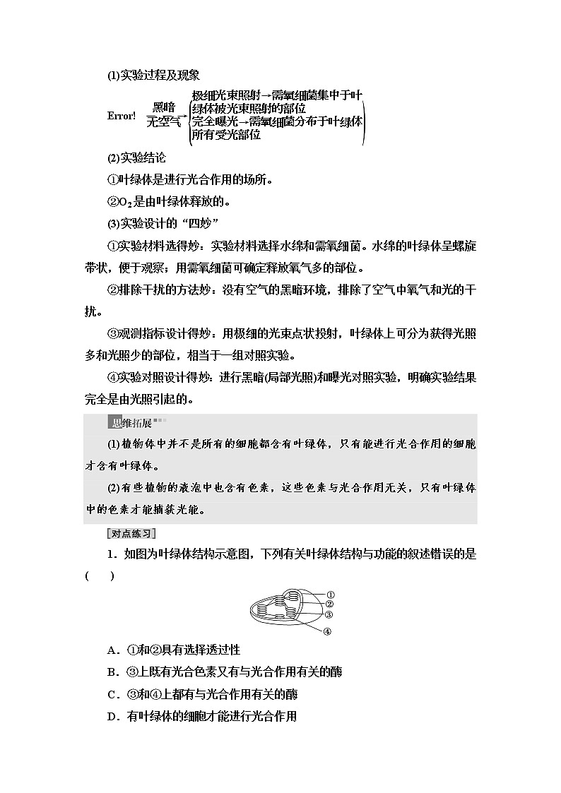 人教版高中生物必修1第5章第4节第1课时捕获光能的色素和结构学案第3页