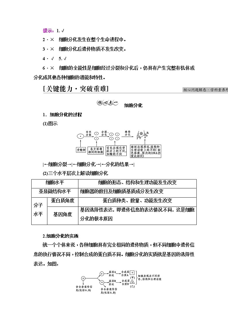 人教版高中生物必修1第6章第2节细胞的分化学案03