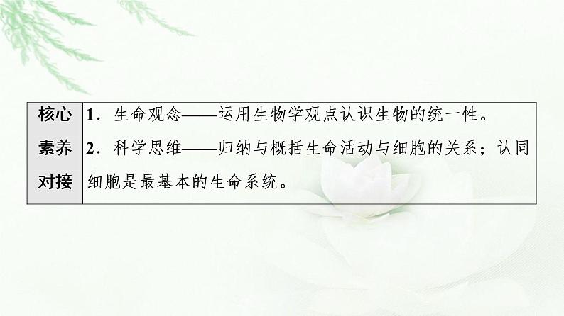 人教版高中生物必修1第1章第1节细胞是生命活动的基本单位课件02