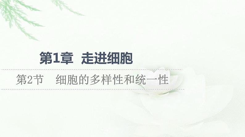 人教版高中生物必修1第1章第2节细胞的多样性和统一性课件01