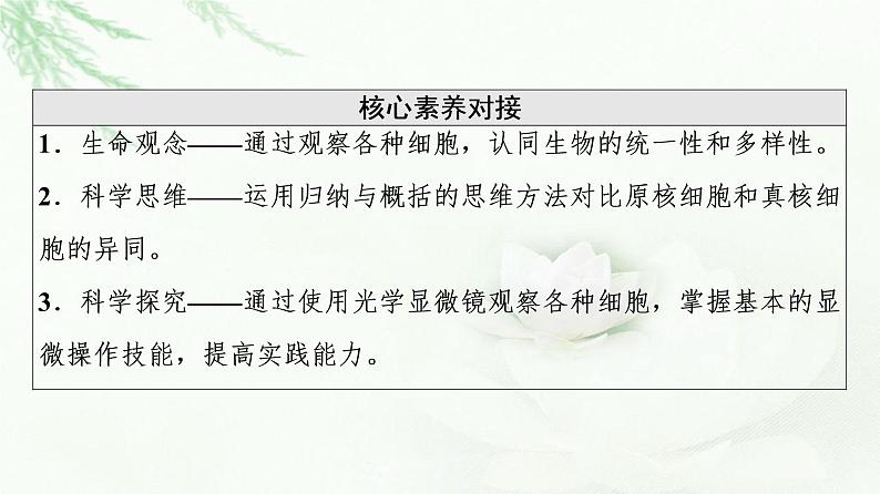 人教版高中生物必修1第1章第2节细胞的多样性和统一性课件03