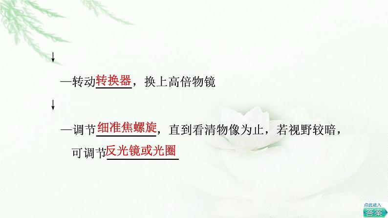 人教版高中生物必修1第1章第2节细胞的多样性和统一性课件06