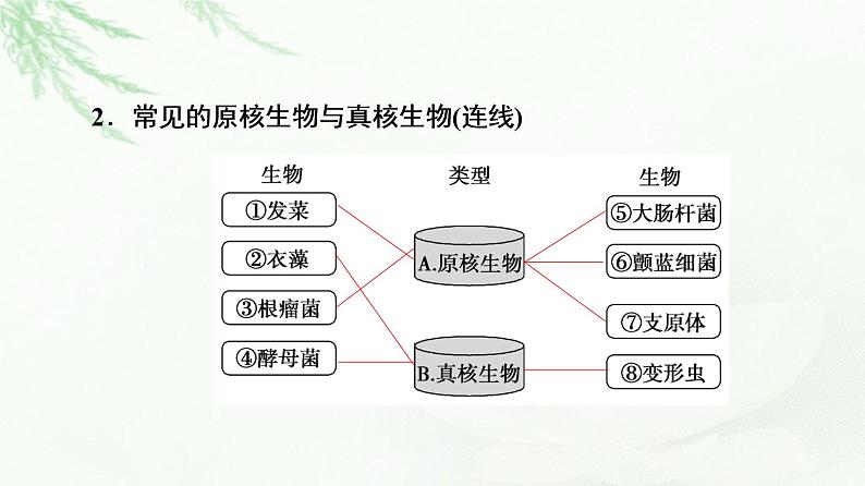 人教版高中生物必修1第1章第2节细胞的多样性和统一性课件08