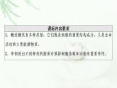 人教版高中生物必修1第2章第3节细胞中的糖类和脂质课件