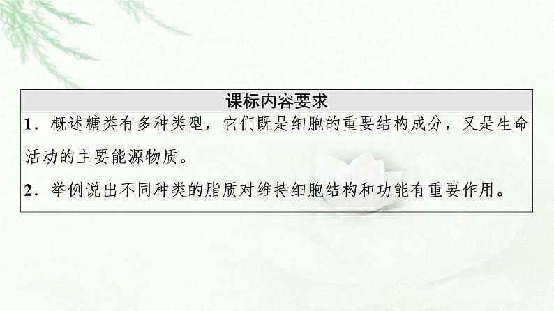 人教版高中生物必修1第2章第3节细胞中的糖类和脂质课件02