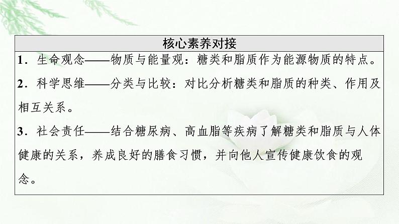 人教版高中生物必修1第2章第3节细胞中的糖类和脂质课件03