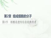 人教版高中生物必修1第2章第5节核酸是遗传信息的携带者课件