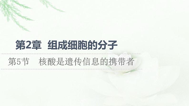 人教版高中生物必修1第2章第5节核酸是遗传信息的携带者课件01