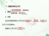 人教版高中生物必修1第2章第5节核酸是遗传信息的携带者课件