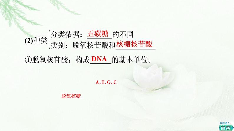 人教版高中生物必修1第2章第5节核酸是遗传信息的携带者课件06