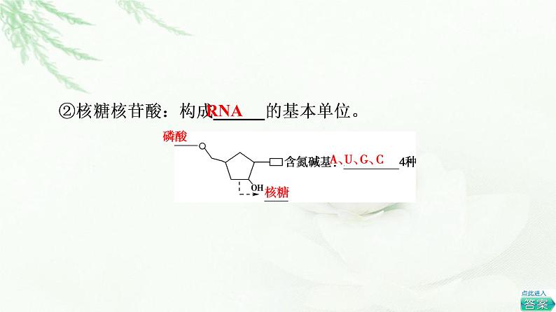 人教版高中生物必修1第2章第5节核酸是遗传信息的携带者课件07