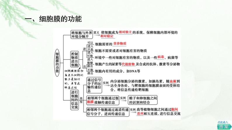 人教版高中生物必修1第3章第1节细胞膜的结构和功能课件05