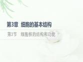 人教版高中生物必修1第3章第3节细胞核的结构和功能课件