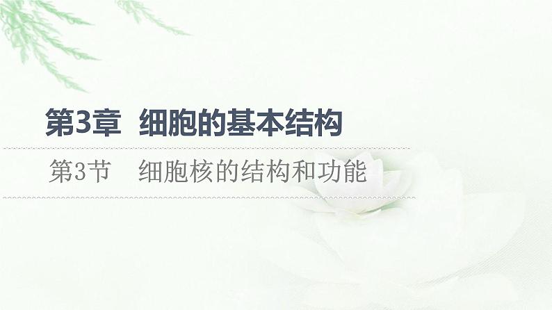 人教版高中生物必修1第3章第3节细胞核的结构和功能课件01