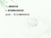 人教版高中生物必修1第3章第3节细胞核的结构和功能课件