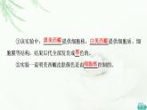 人教版高中生物必修1第3章第3节细胞核的结构和功能课件