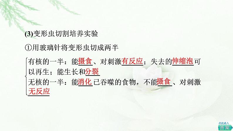 人教版高中生物必修1第3章第3节细胞核的结构和功能课件08