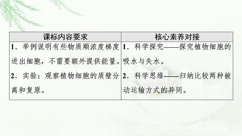 人教版高中生物必修1第4章第1节第2课时探究植物细胞的吸水和失水与被动运输课件第2页