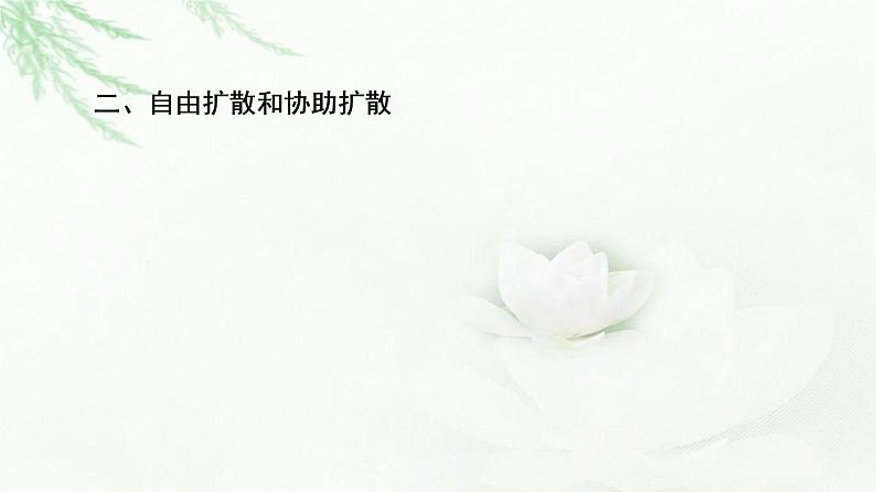 人教版高中生物必修1第4章第1节第2课时探究植物细胞的吸水和失水与被动运输课件第5页