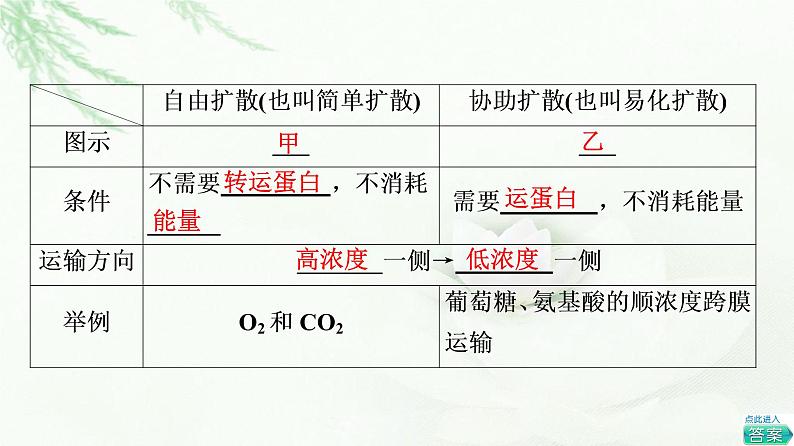 人教版高中生物必修1第4章第1节第2课时探究植物细胞的吸水和失水与被动运输课件第6页
