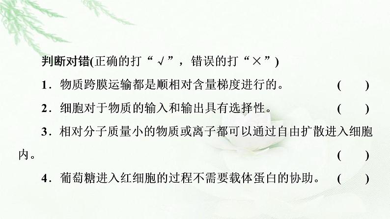 人教版高中生物必修1第4章第1节第2课时探究植物细胞的吸水和失水与被动运输课件第7页