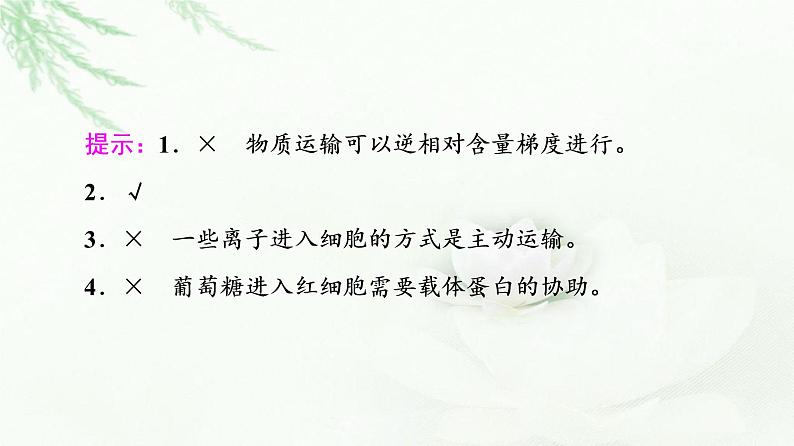 人教版高中生物必修1第4章第1节第2课时探究植物细胞的吸水和失水与被动运输课件第8页