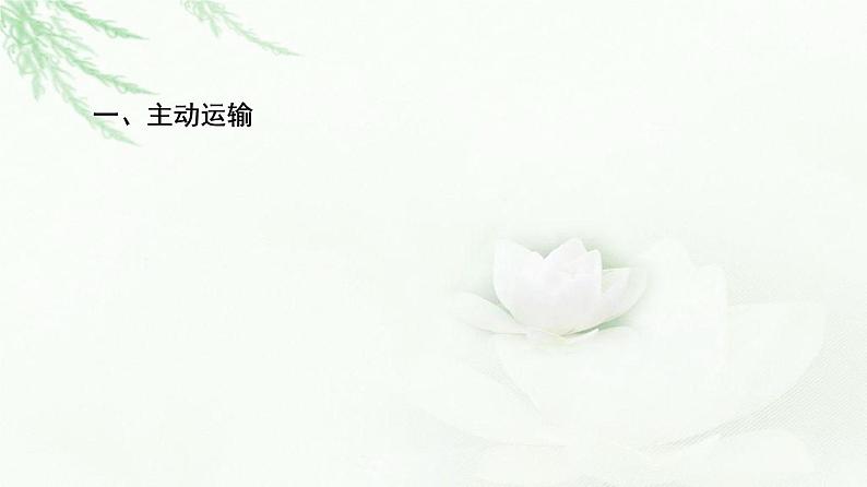 人教版高中生物必修1第4章第2节主动运输与胞吞、胞吐课件05