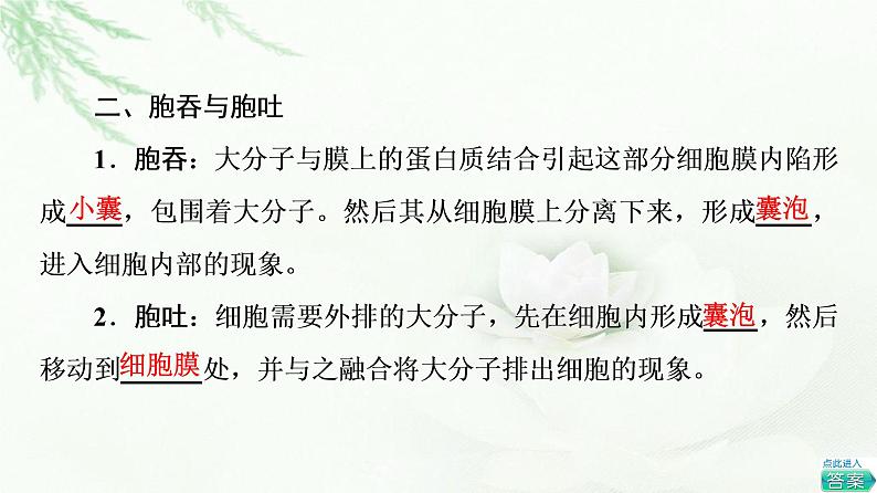 人教版高中生物必修1第4章第2节主动运输与胞吞、胞吐课件08