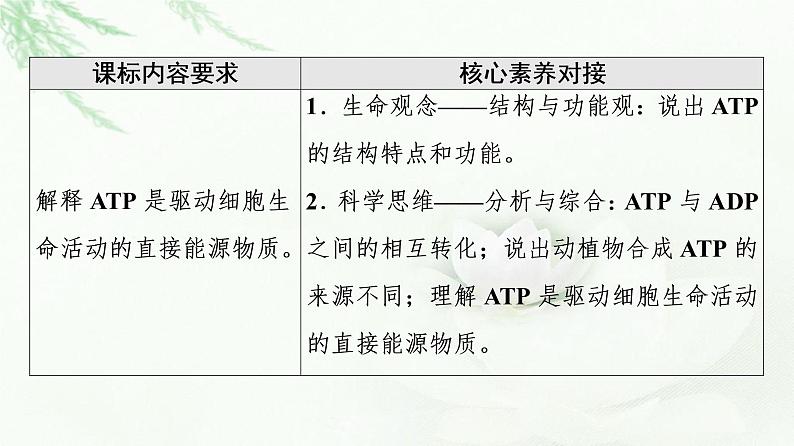 人教版高中生物必修1第5章第2节细胞的能量“货币”ATP课件02