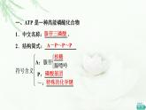 人教版高中生物必修1第5章第2节细胞的能量“货币”ATP课件