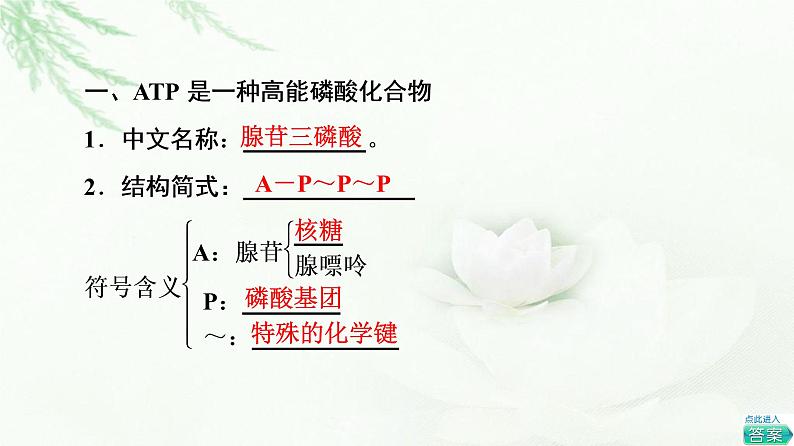 人教版高中生物必修1第5章第2节细胞的能量“货币”ATP课件04