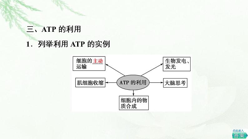 人教版高中生物必修1第5章第2节细胞的能量“货币”ATP课件08