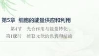 高中生物人教版 (2019)必修1《分子与细胞》一 捕获光能的色素和结构说课课件ppt