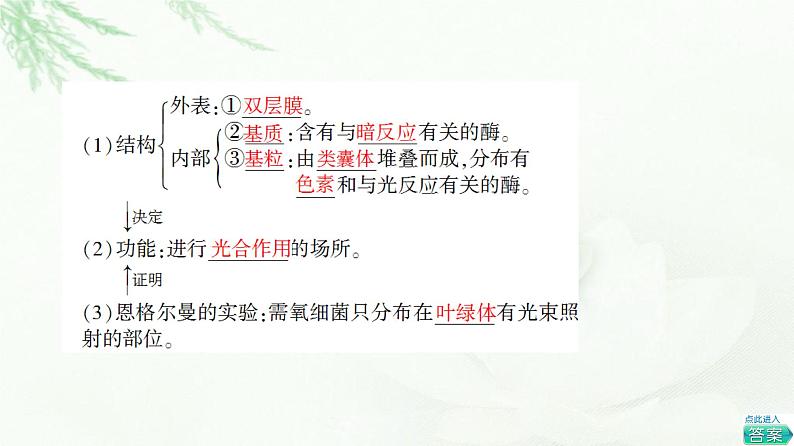 人教版高中生物必修1第5章第4节第1课时捕获光能的色素和结构课件第6页