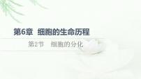 2020-2021学年第6章 细胞的生命历程第2节 细胞的分化多媒体教学课件ppt