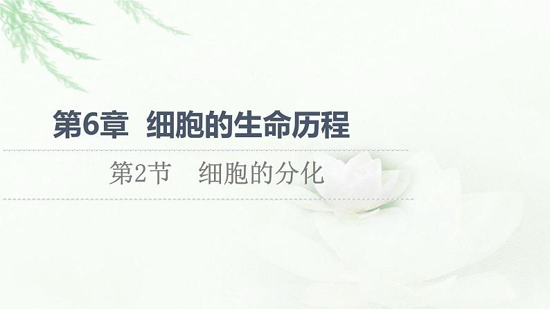 人教版高中生物必修1第6章第2节细胞的分化课件01