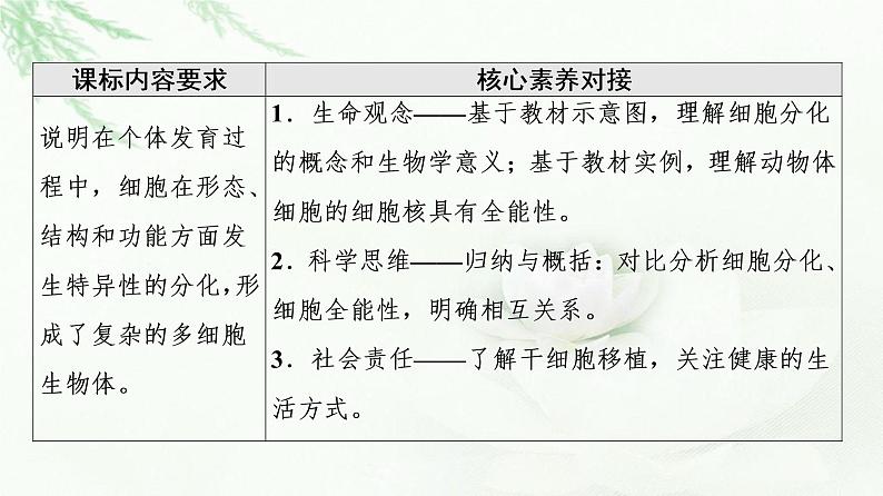 人教版高中生物必修1第6章第2节细胞的分化课件02