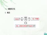 人教版高中生物必修1第6章第2节细胞的分化课件